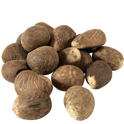 Whole Tagua Nuts From Ecuador Fair Trade - Pckg Of 5