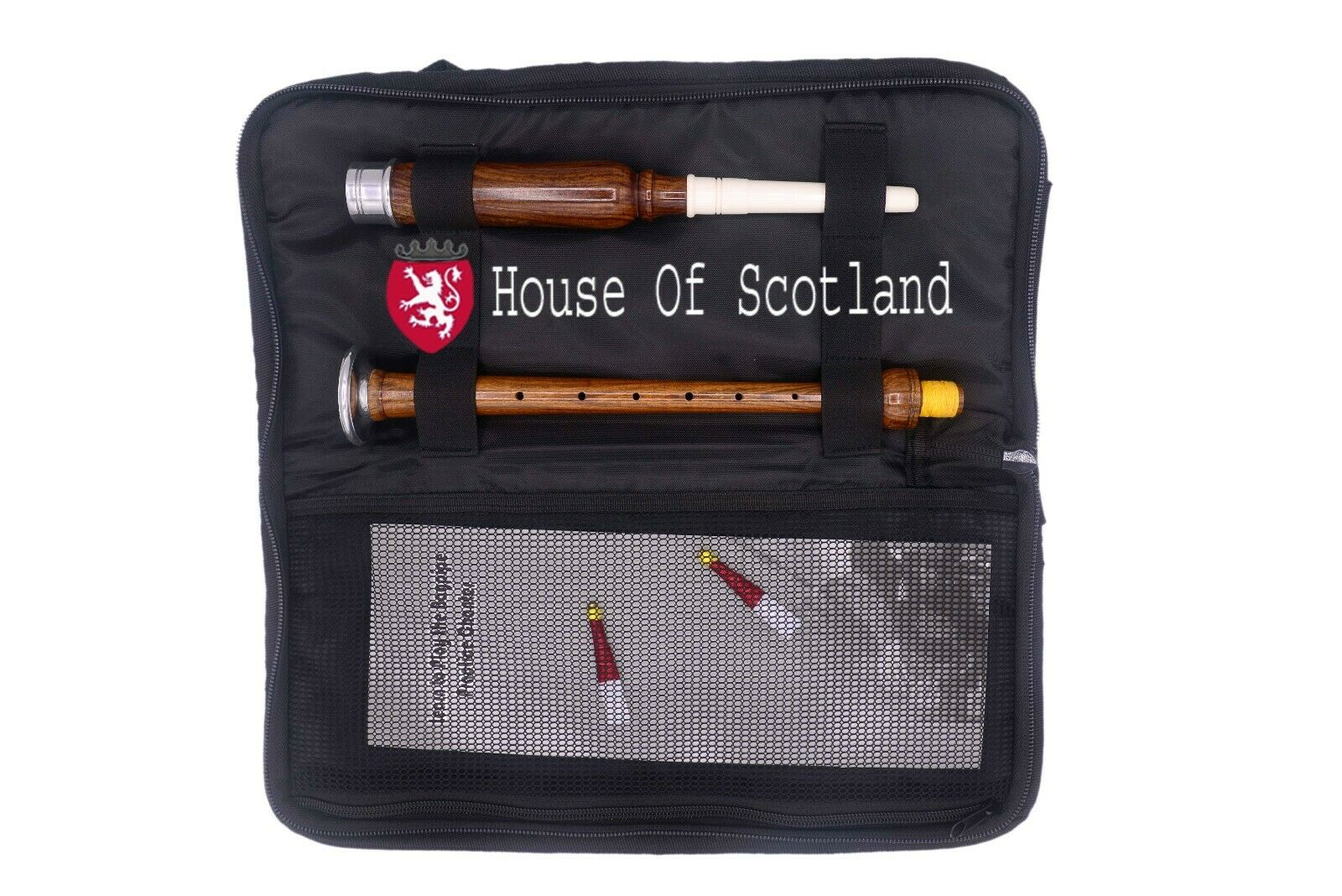Scottish Bagpipe Practice Chanter Brown Silver Carrying Case Learning Kit Book